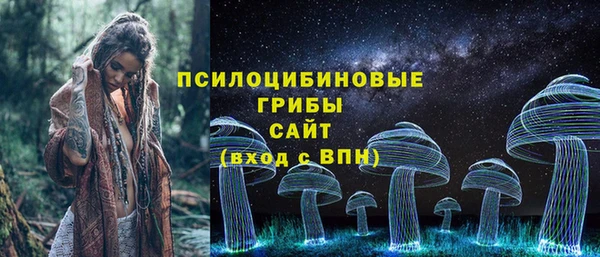 амф Богородск
