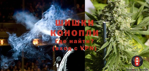 амф Богородск