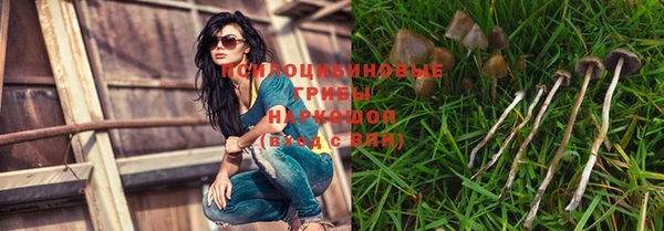 метамфетамин Богородицк