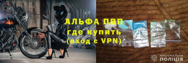 шишки Богданович