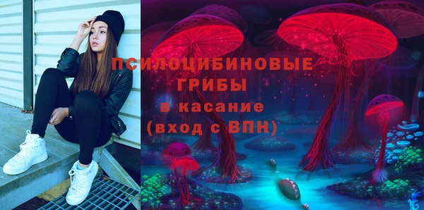 шишки Богданович